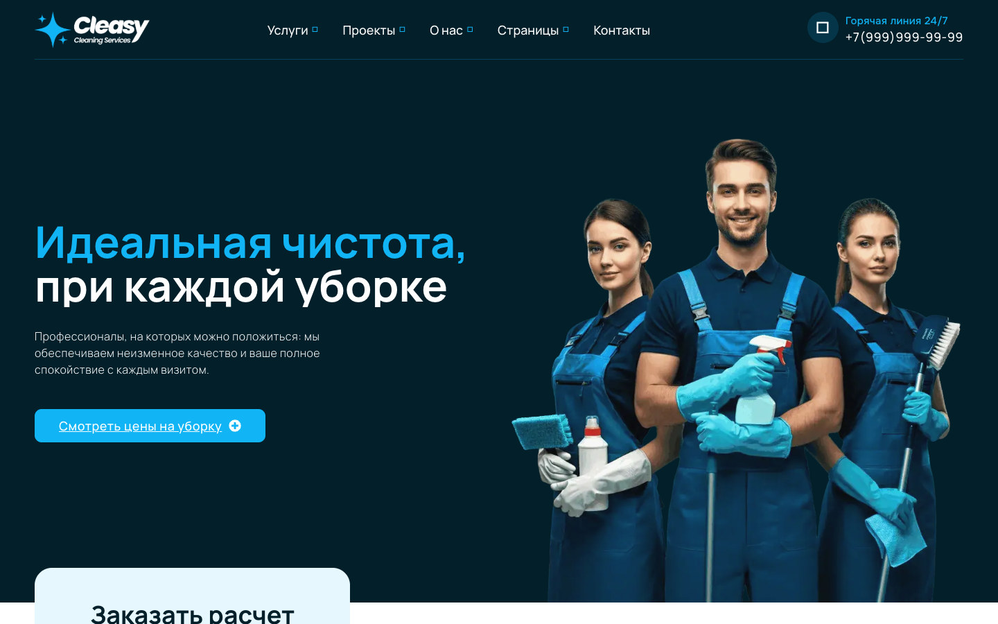 Скриншот проекта «Cleasy»